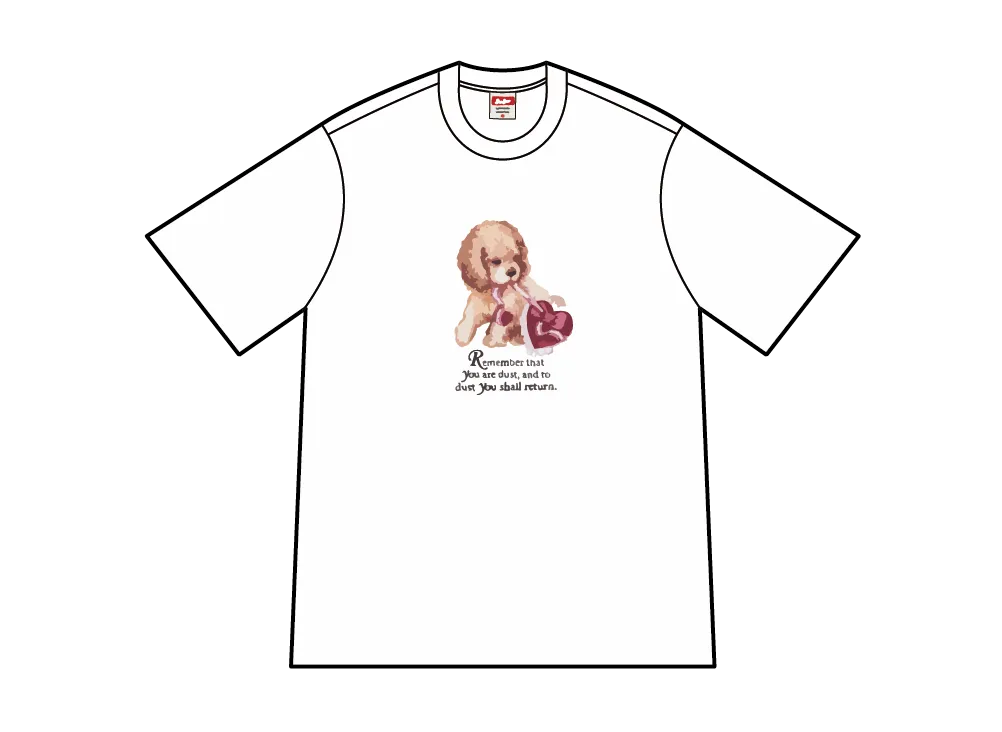 Supreme Dust Tee "White"