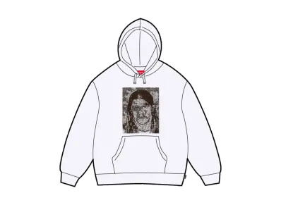 Supreme x Dash Snow Hooded Sweatshirt "Ash Grey"