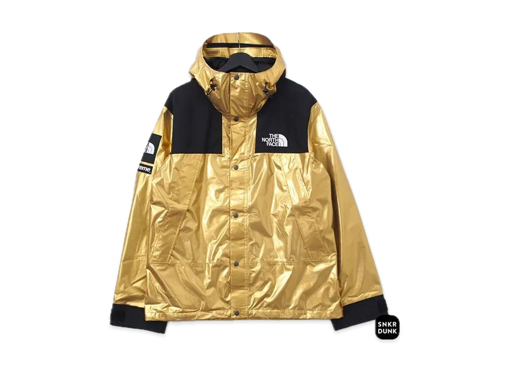 Supreme x The North Face Metallic Mountain Parka 