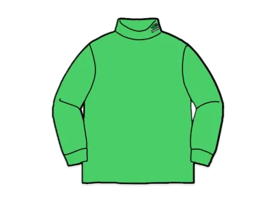 Supreme x The North Face RTG Turtleneck "Green"