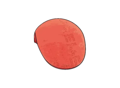 Supreme Kangol Ventair Logo 504 "Orange"