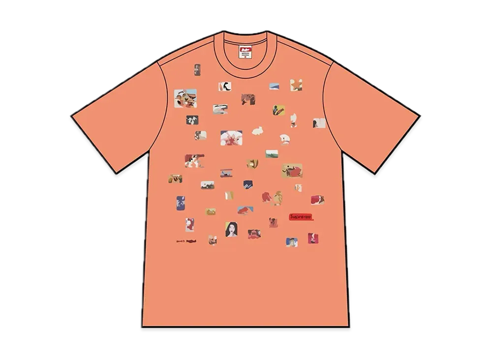 Supreme Pretty Fucked Tee "Peach"