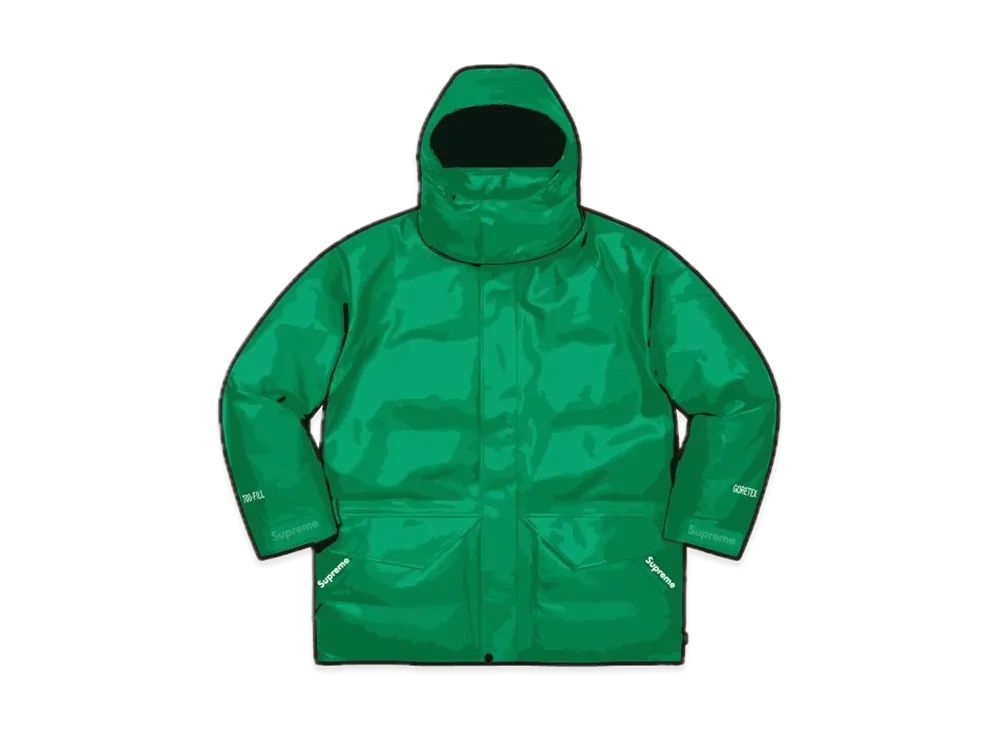 シュプリーム ゴアテックス レザー 700-フィル ダウン パーカー "グリーン"