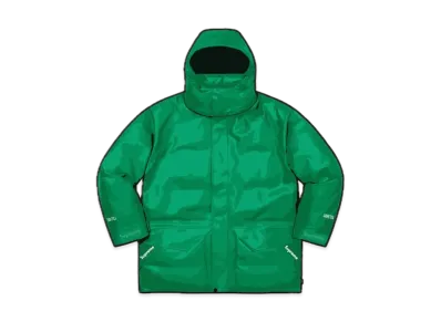 Supreme Gore-Tex Leather 700-Fill Down Parka "Green"
