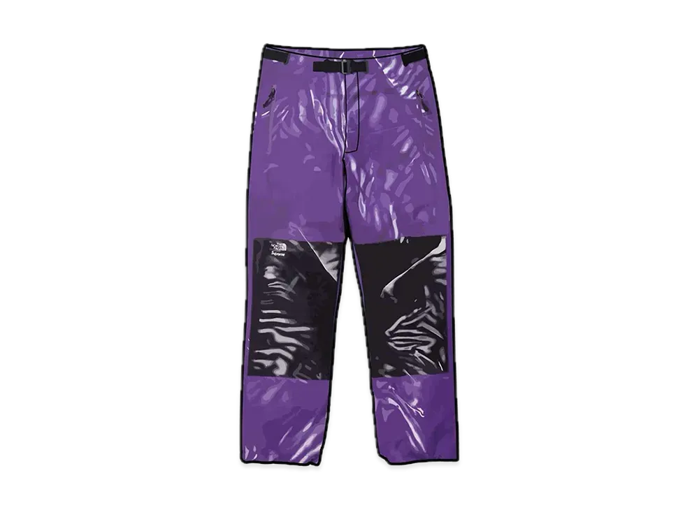 Supreme x The North Face Trompe Loeil Printed Mountain Pant "Purple"