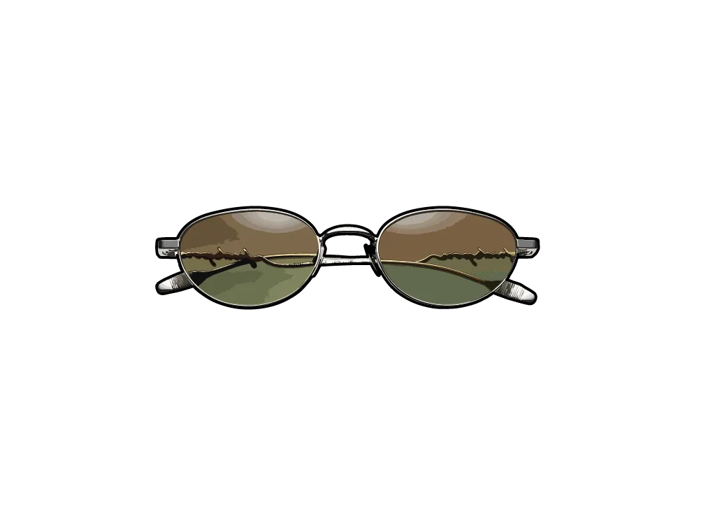 supreme capital sunglasses サングラス