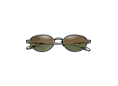 Supreme Capital Sunglasses "Silver"