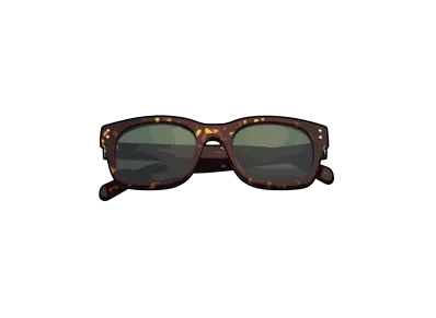 Supreme Avon Sunglasses "Tortoise"