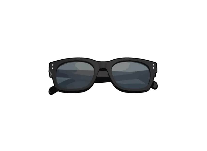 Supreme Avon Sunglasses Supreme Avon Sunglasses
