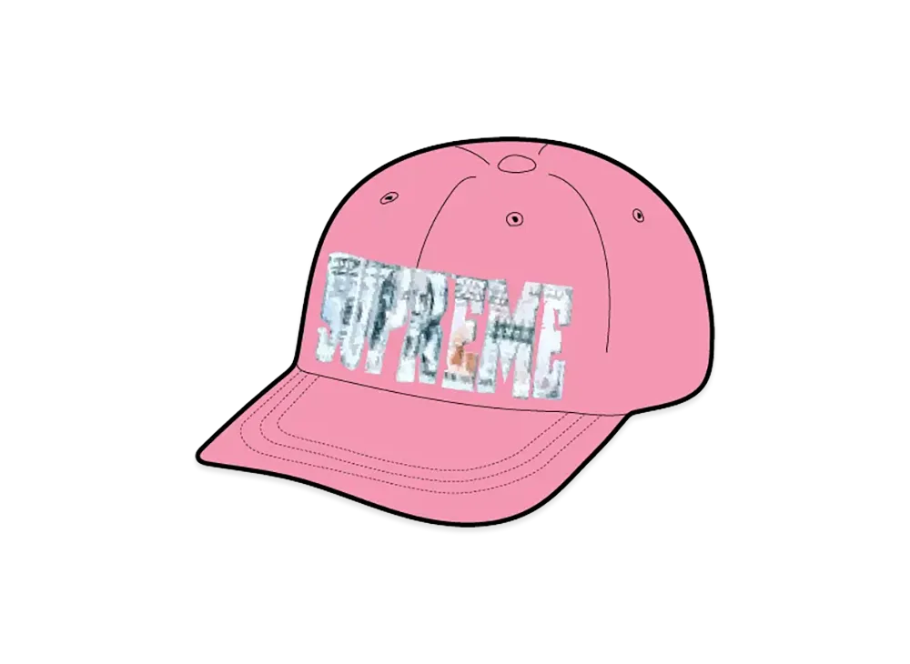 Supreme Embroidered Money Logo 6-Panel "Pink"