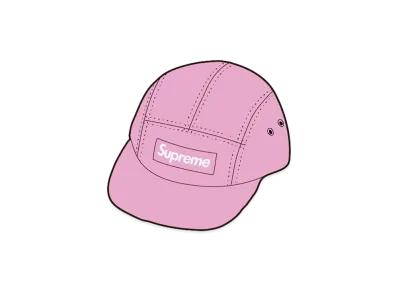 Supreme Canvas Camp Cap "Pink"