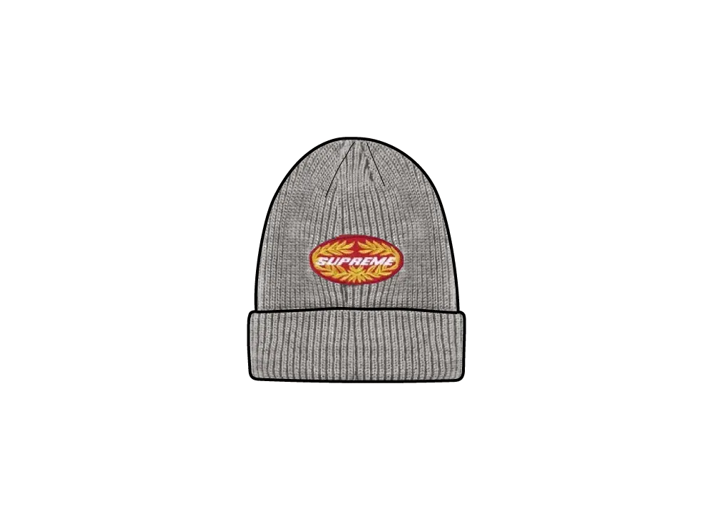 Supreme Terminal Beanie "Grey"
