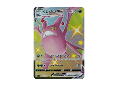 ポケモンカード キラ ポケパークのアチャモ プレミアムファイル 002 ポケモンカード キラ ポケパークのアチャモ プレミアムファイル 002