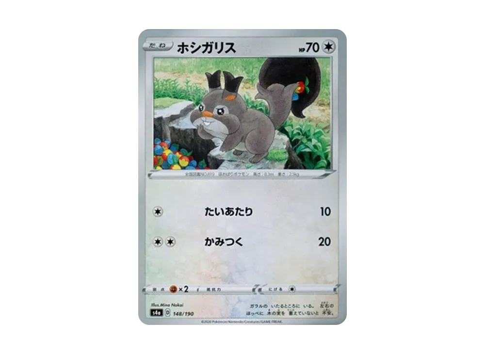 ホシガリス