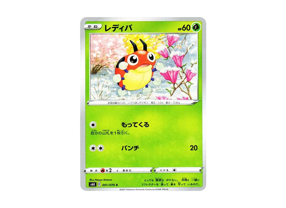レディバ