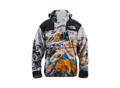 The North Face x Invincible The Expedition Series Mountain Jacket "Multi"