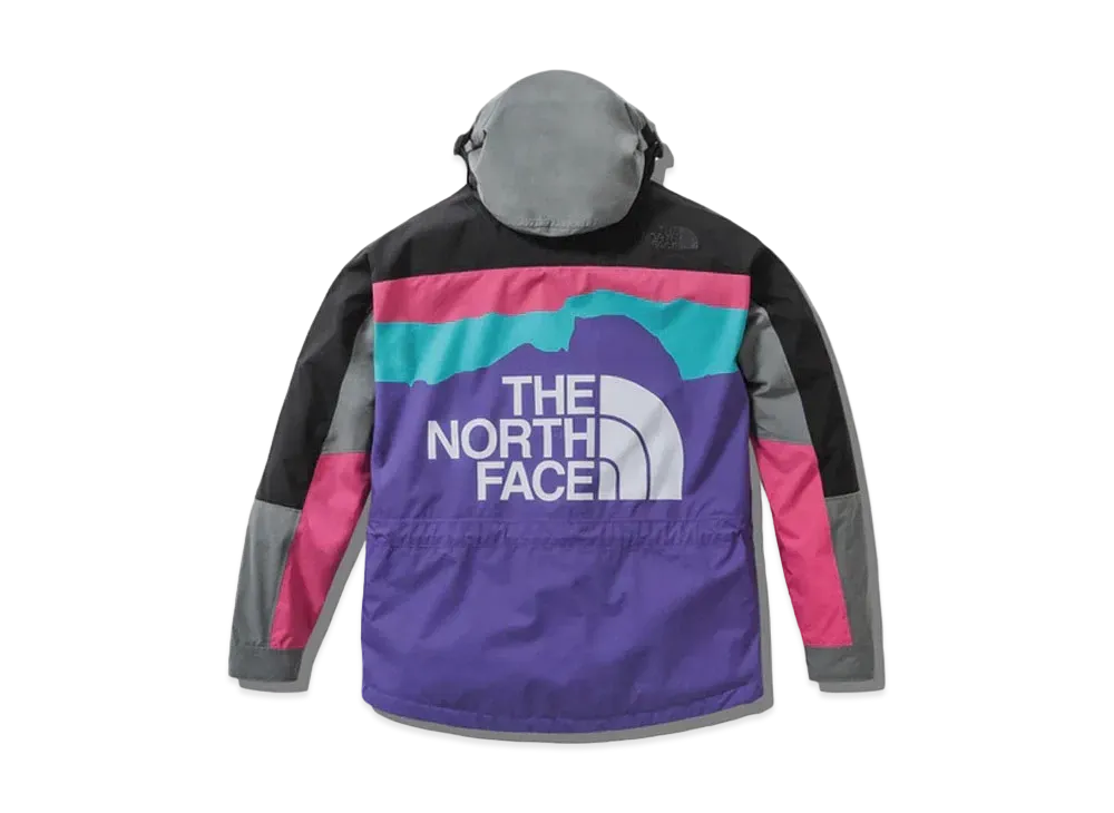 ザノースフェイス インヴィンシブル レトロ マウンテン ライト ジャケット "マルチ"