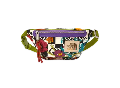 Gucci x The North Face Belt Bag "Multi"