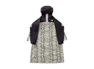 The North Face x HYKE GORE-TEX Coat 18SS "Python"