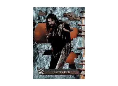 カクタスジャック (トップスクローム WWE カクタスジャック X レッスルマニア)