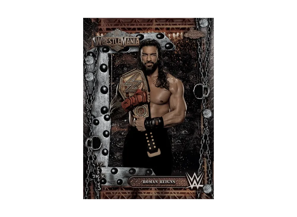 ローマンレインズ (トップスクローム WWE カクタスジャック X レッスルマニア)