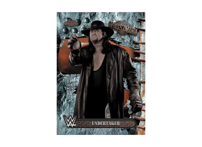 アンダーテイカー (トップスクローム WWE カクタスジャック X レッスルマニア)