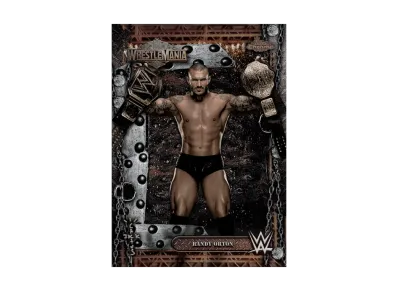 ランディオートン (トップスクローム WWE カクタスジャック X レッスルマニア)