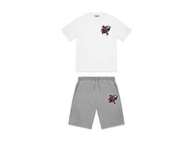 TRAPSTAR TSL Shooters Print Shorts Set "Gray"