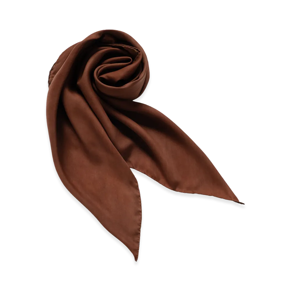 T.T Taiga Takahashi Women's Silk Scarf "Techi Tree Dyed Brown Copper Mordant"