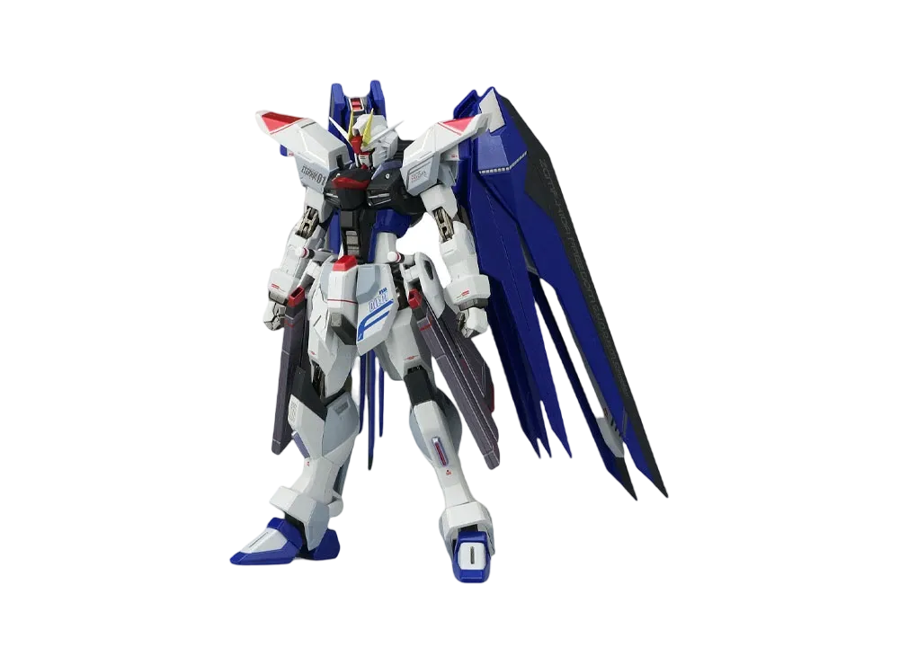 METAL ROBOT SPIRITS <SIDE MS> Freedom Gundam