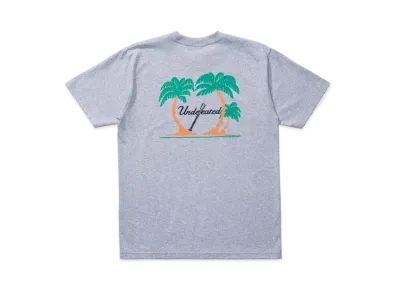 UNDEFEATED SPRING TRAINING TEE - 80085 "Gray"