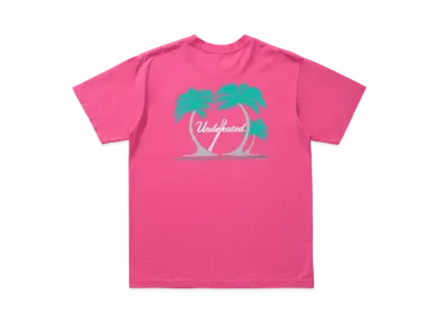 UNDEFEATED SPRING TRAINING TEE - 80085 "Pink"