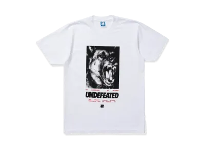 UNDEFEATED NO SURRENDER S/S TEE - 80304 "White"