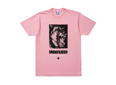 UNDEFEATED NO SURRENDER S/S TEE - 80304 "Pink"