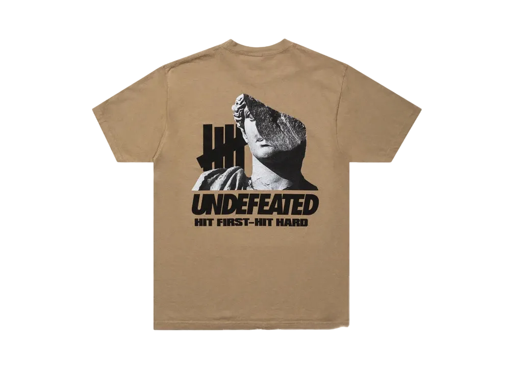 UNDEFEATED Hitter S/S Tee "Brown"