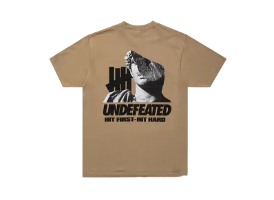 UNDEFEATED Hitter S/S Tee "Brown"