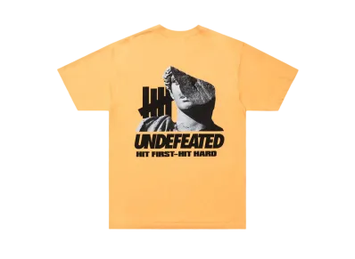UNDEFEATED Hitter S/S Tee "Orange"