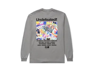 UNDEFEATED Spectrum L/S Tee "Gray"