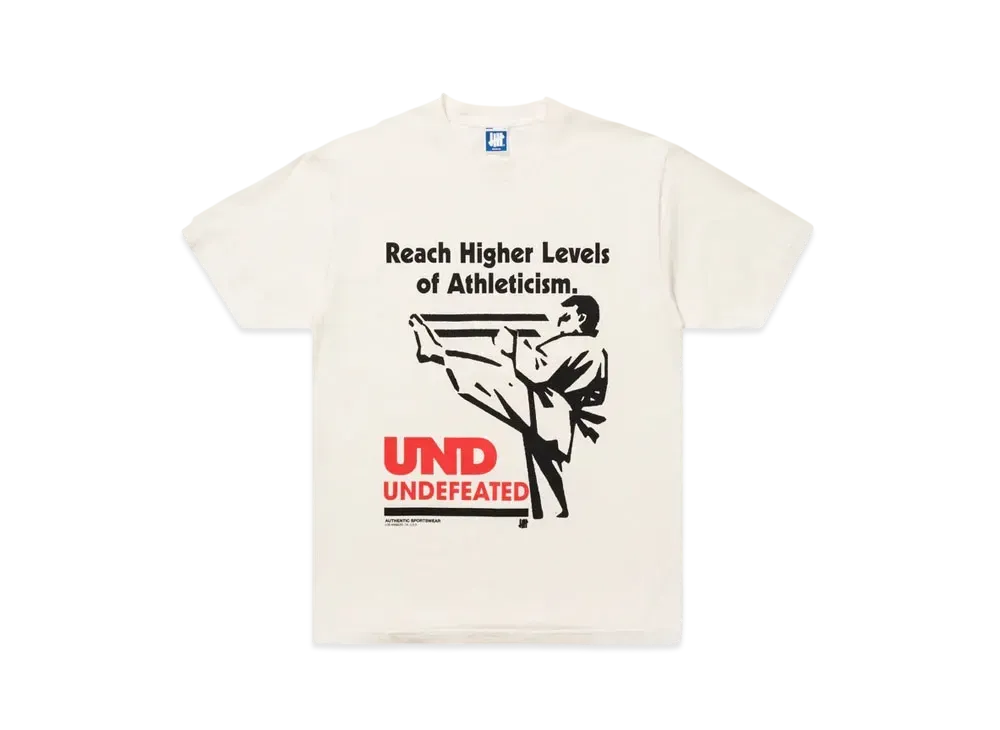 UNDEFEATED Levels S/S Tee "Off White"