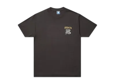 UNDEFEATED Vulture S/S Tee "Grey"