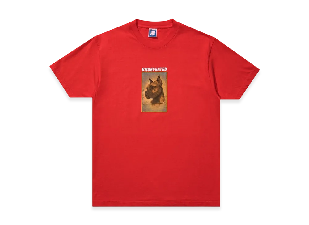 UNDEFEATED Loyal S/S Tee "Red"