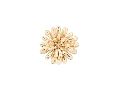 Dior Cannage Brooch Brass and Crystals "Gold"
