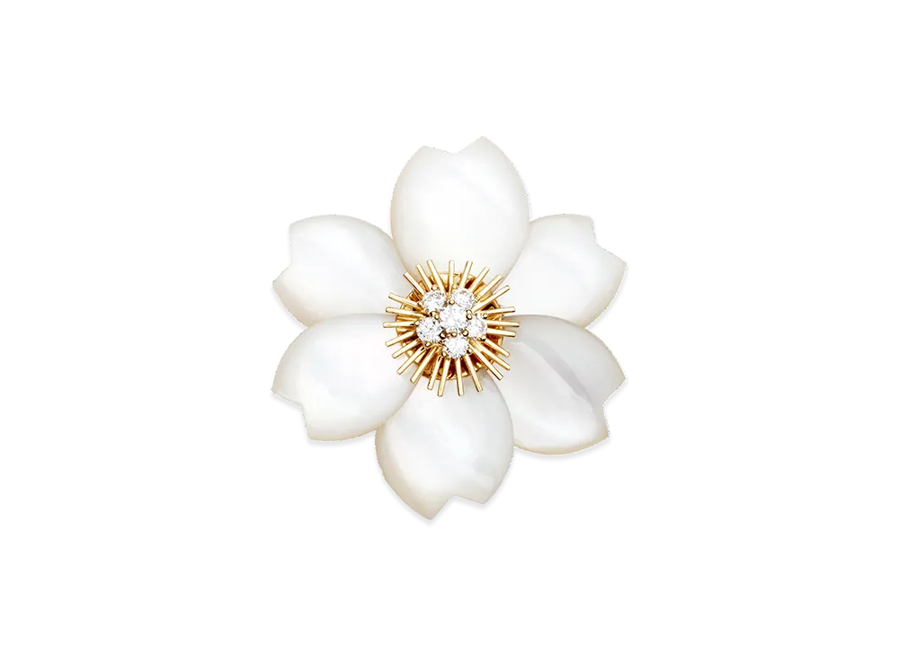 Van Cleef & Arpels Rose de Noel clip medium model "18K Yellow gold/Diamond/Mother-of-pearl"