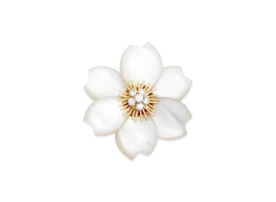 Van Cleef & Arpels Rose de Noel clip medium model "18K Yellow gold/Diamond/Mother-of-pearl"