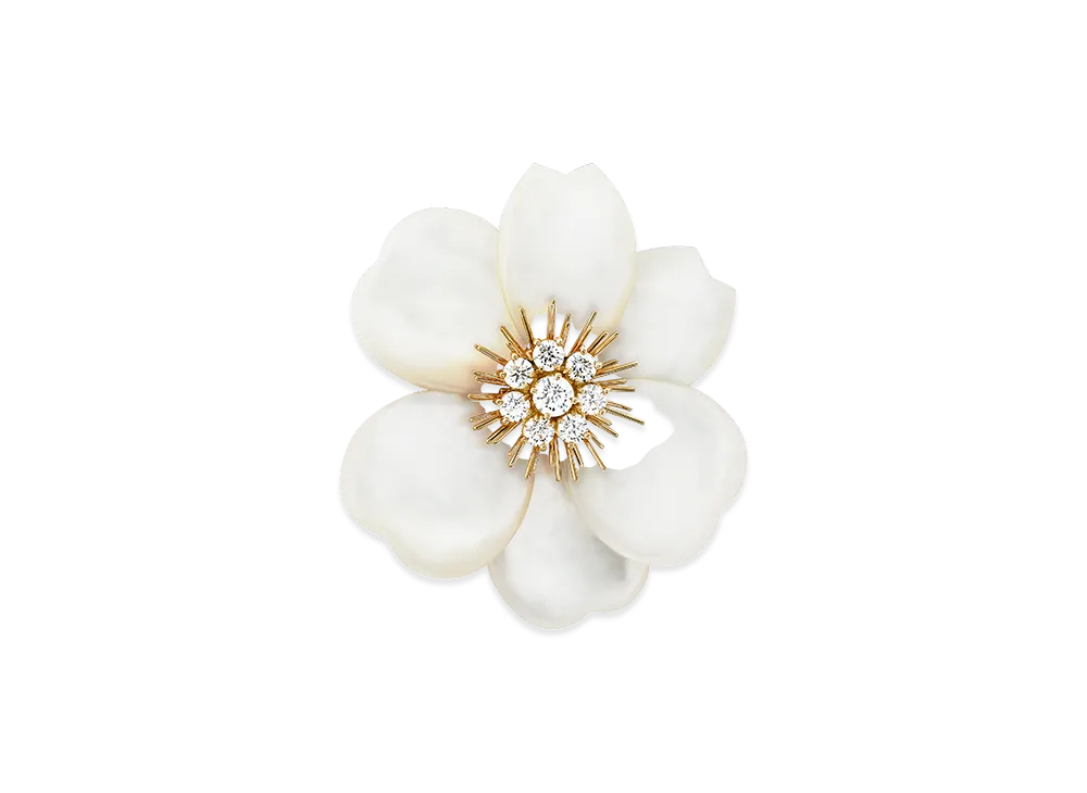 Van Cleef & Arpels Rose de Noel clip large model "18K Yellow gold/Diamond/Mother-of-pearl"