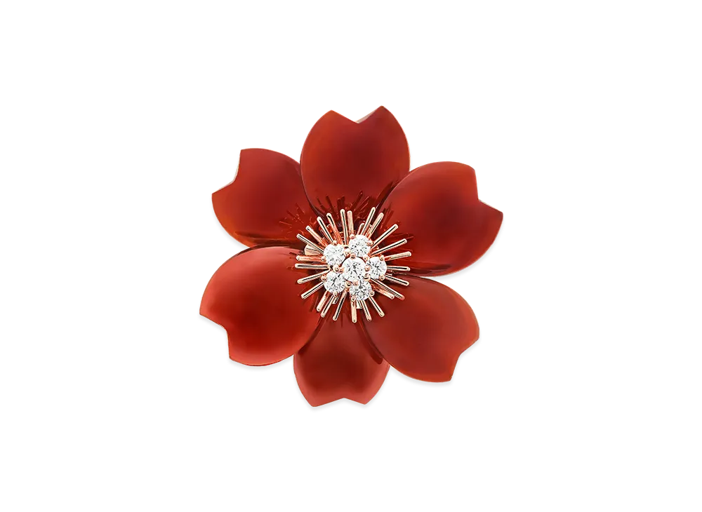 Van Cleef & Arpels Rose de Noel clip medium model "18K Rose gold/Carnelian/Diamond"