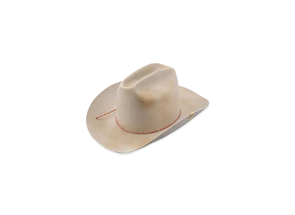 visvim VIN COWBOY HAT "Gray"