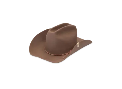 visvim Vin Cowboy Hat "Brown"