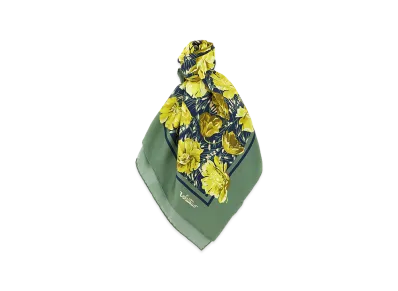 Valentino Garavani Women's 'apres L'hiver-Poppies' Scarf "Green"