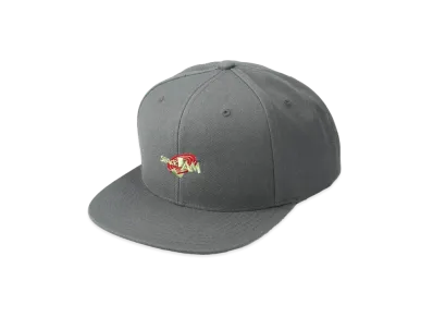 WIND AND SEA SPACE JAM (SPACE JAM-TASMANIAN DEVIL) CAP "Gray"